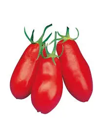 Pomodori San Marzano