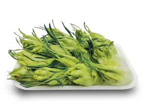 Catalogna Puntarella vaschetta 250 Gr