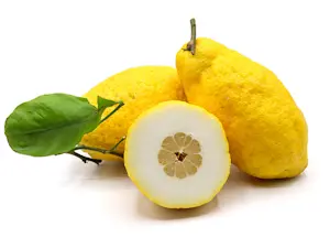 Cedri