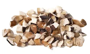 Funghi porcini Cubetto Gelo 1 Kg