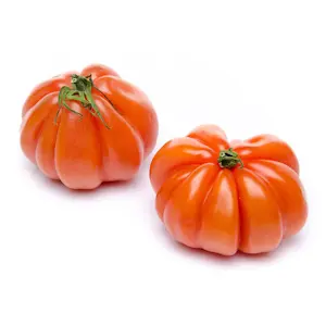 Pomodori Cuore di Bue Extra