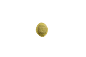 Ravioli borragine e noci (1kg X 4)