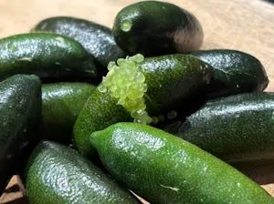 Emerald (200 g)